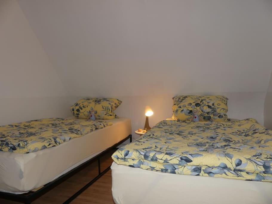 Fewo Gluecksmoment Idar-Oberstein Kültér fotó